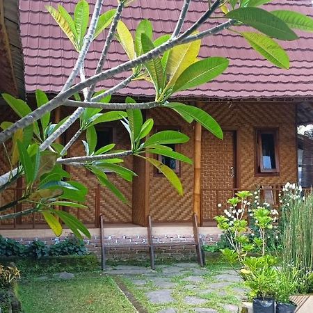 Mysha Guest House-Lombok Tetebatu Zewnętrze zdjęcie