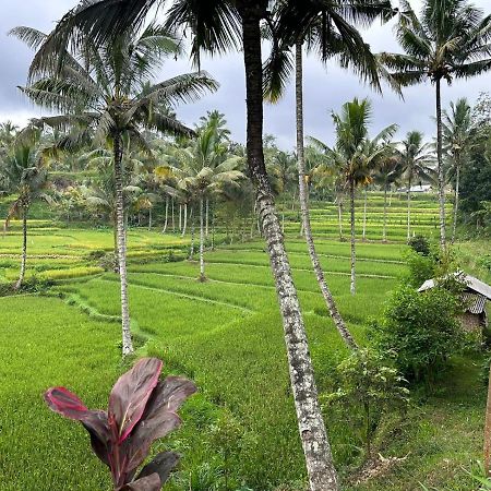 Mysha Guest House-Lombok Tetebatu Zewnętrze zdjęcie