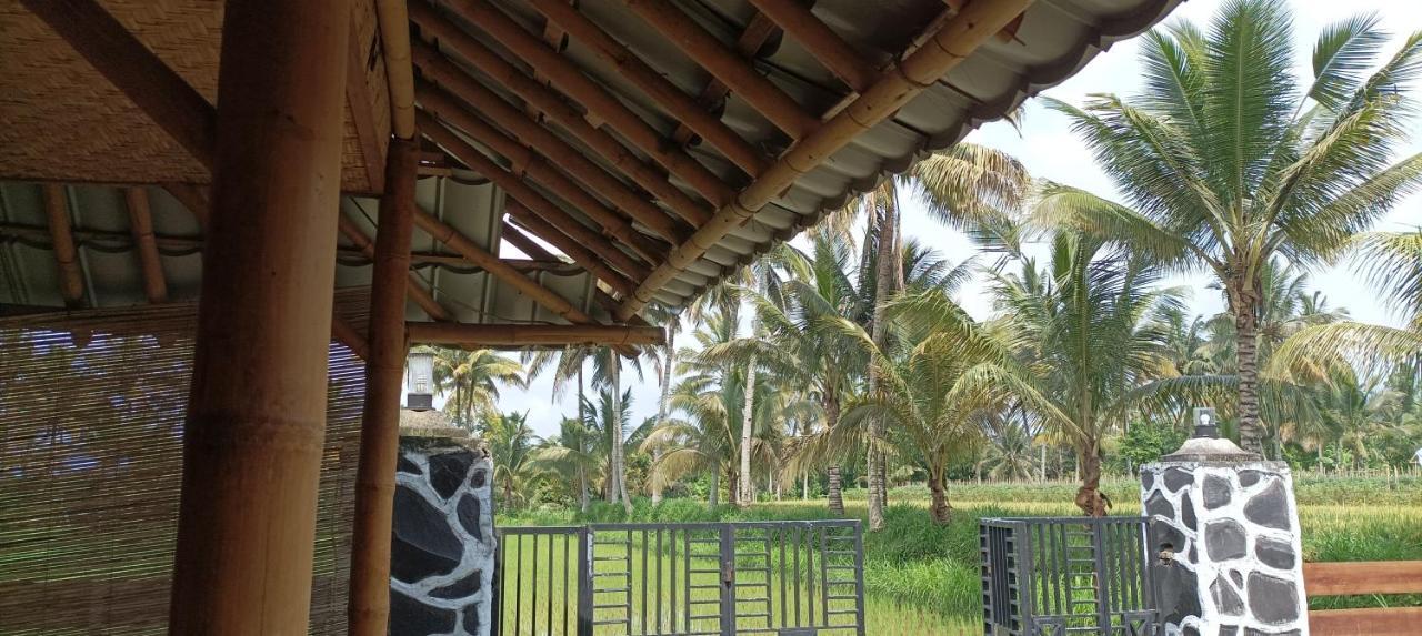 Mysha Guest House-Lombok Tetebatu Zewnętrze zdjęcie