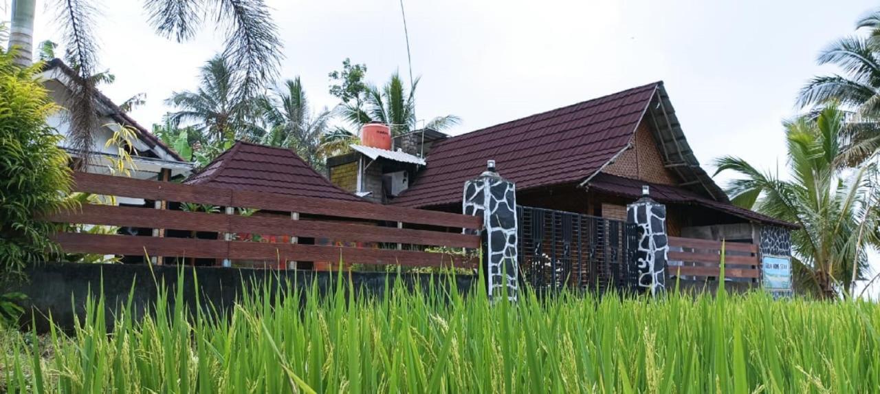 Mysha Guest House-Lombok Tetebatu Zewnętrze zdjęcie