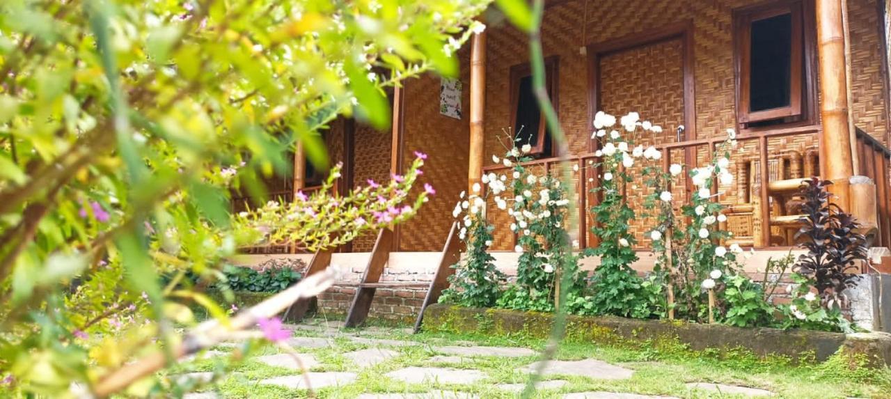 Mysha Guest House-Lombok Tetebatu Zewnętrze zdjęcie