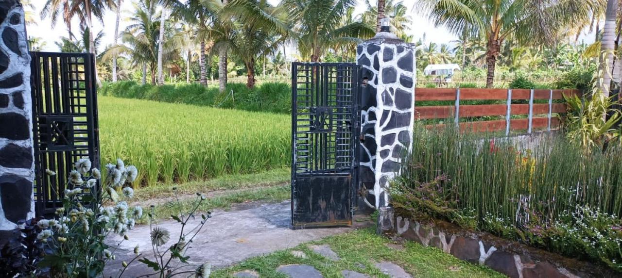 Mysha Guest House-Lombok Tetebatu Zewnętrze zdjęcie