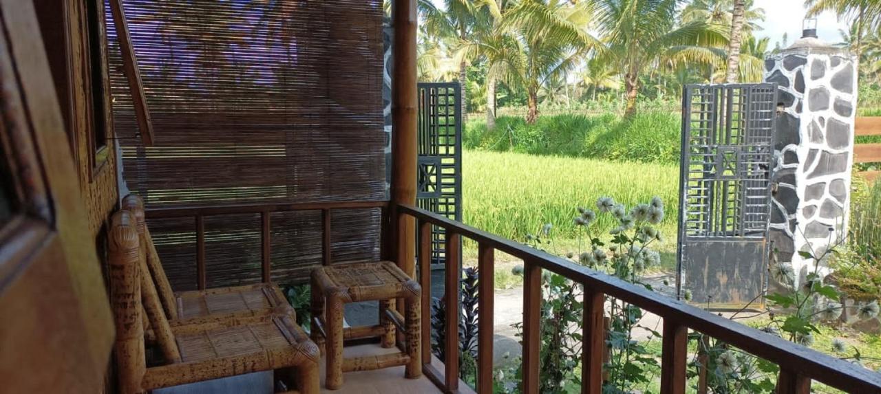 Mysha Guest House-Lombok Tetebatu Zewnętrze zdjęcie