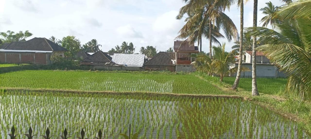 Mysha Guest House-Lombok Tetebatu Zewnętrze zdjęcie