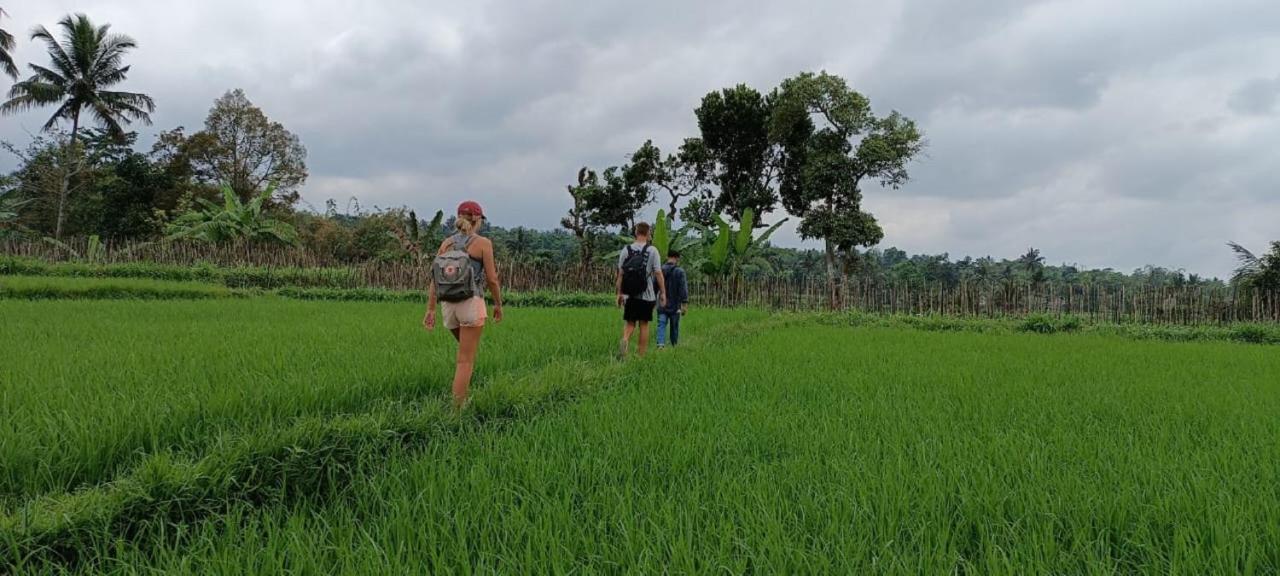 Mysha Guest House-Lombok Tetebatu Zewnętrze zdjęcie