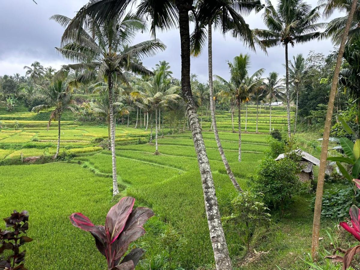 Mysha Guest House-Lombok Tetebatu Zewnętrze zdjęcie