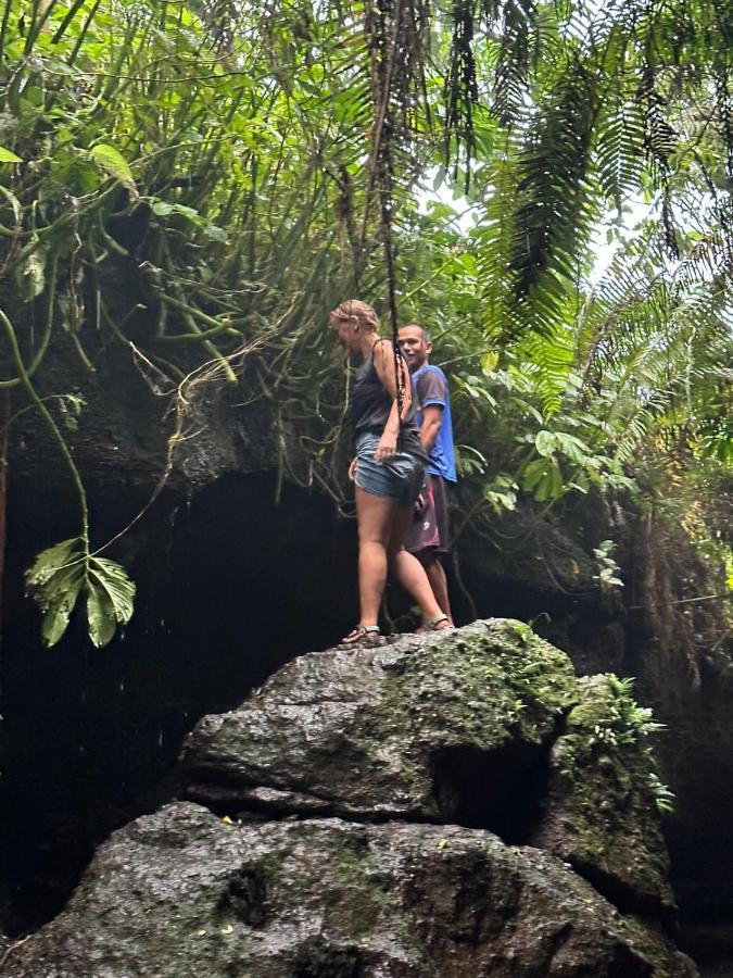 Mysha Guest House-Lombok Tetebatu Zewnętrze zdjęcie