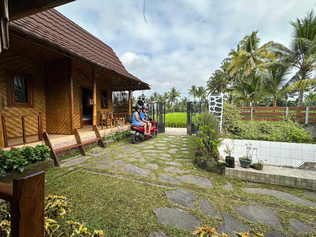Mysha Guest House-Lombok Tetebatu Zewnętrze zdjęcie