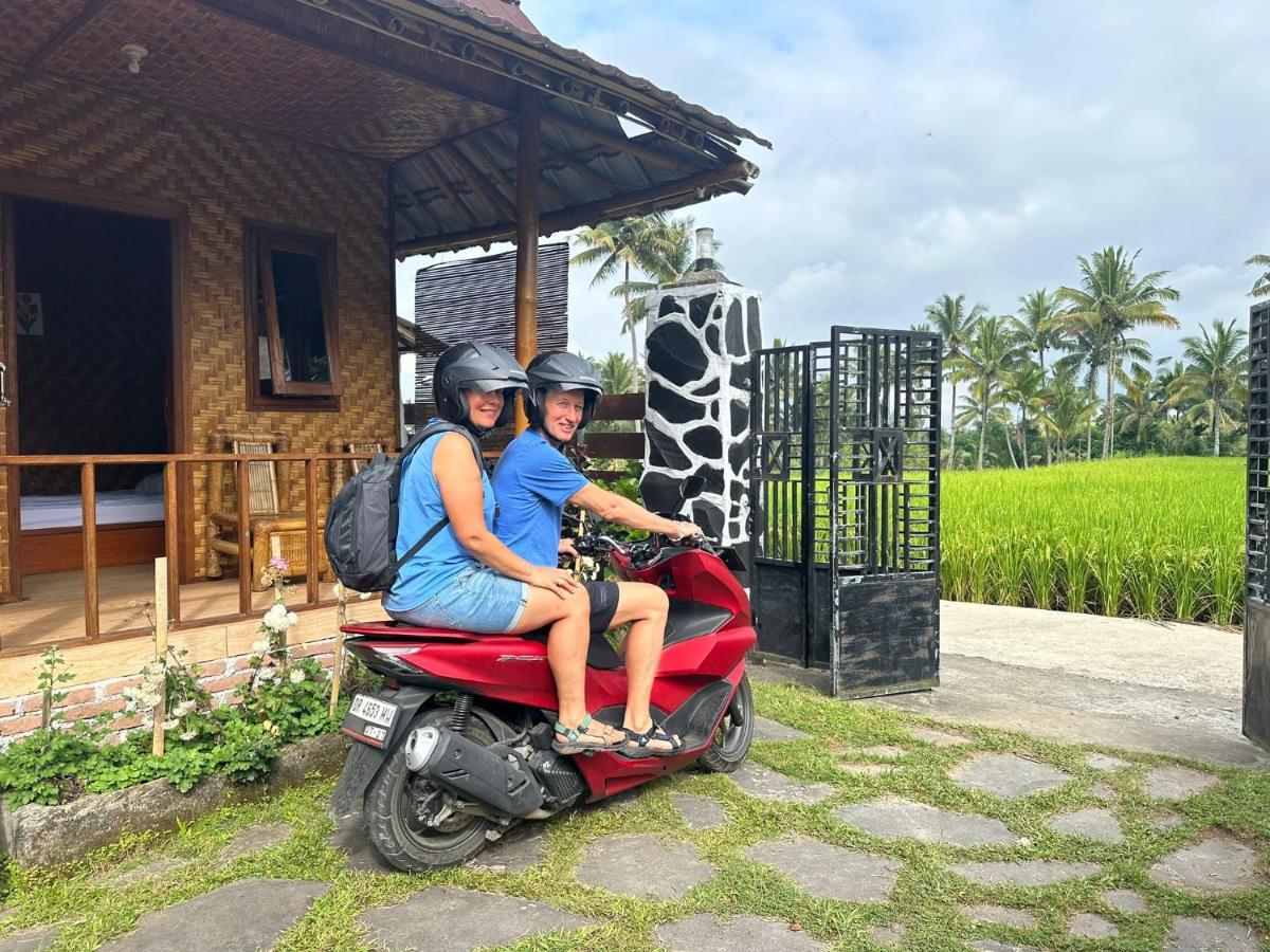 Mysha Guest House-Lombok Tetebatu Zewnętrze zdjęcie