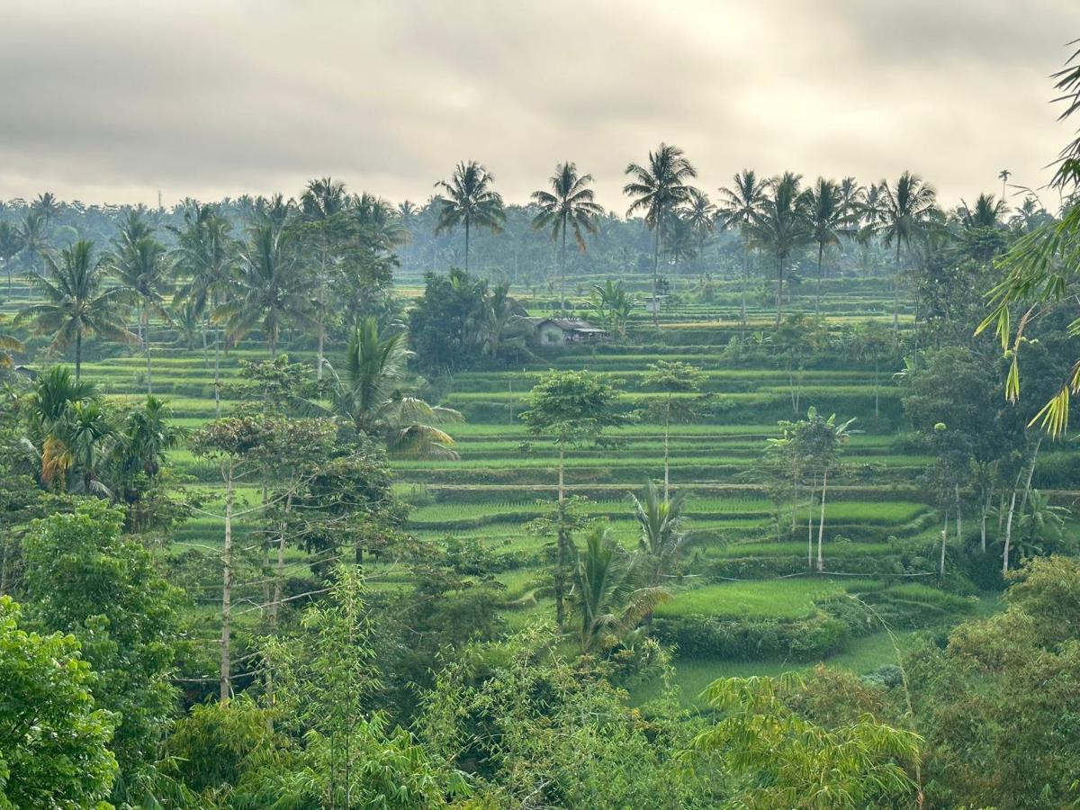 Mysha Guest House-Lombok Tetebatu Zewnętrze zdjęcie
